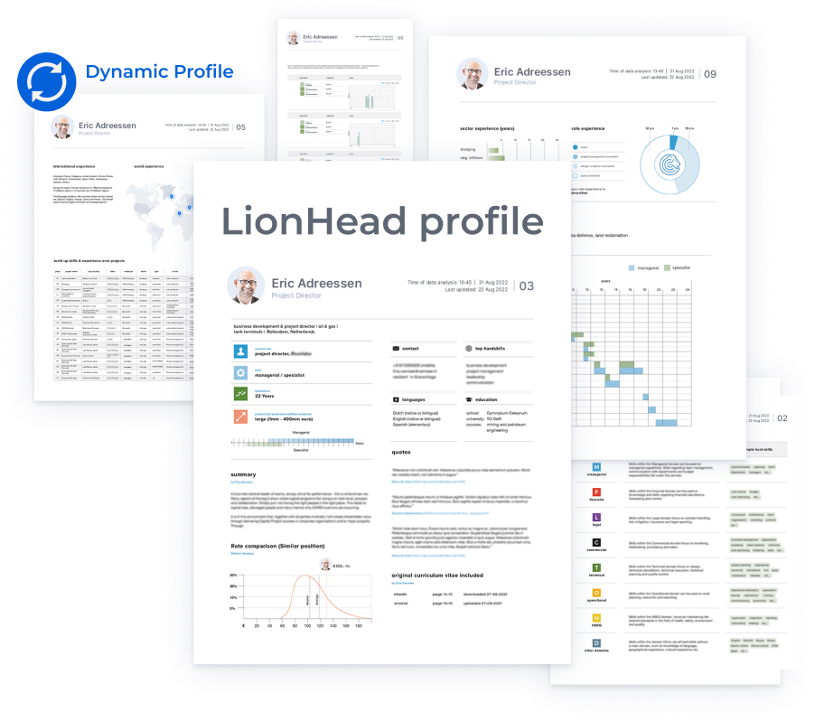 LionHead profile overview-staand